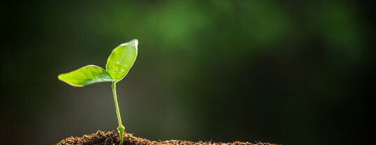 Propagating from Seed with Success Workshop