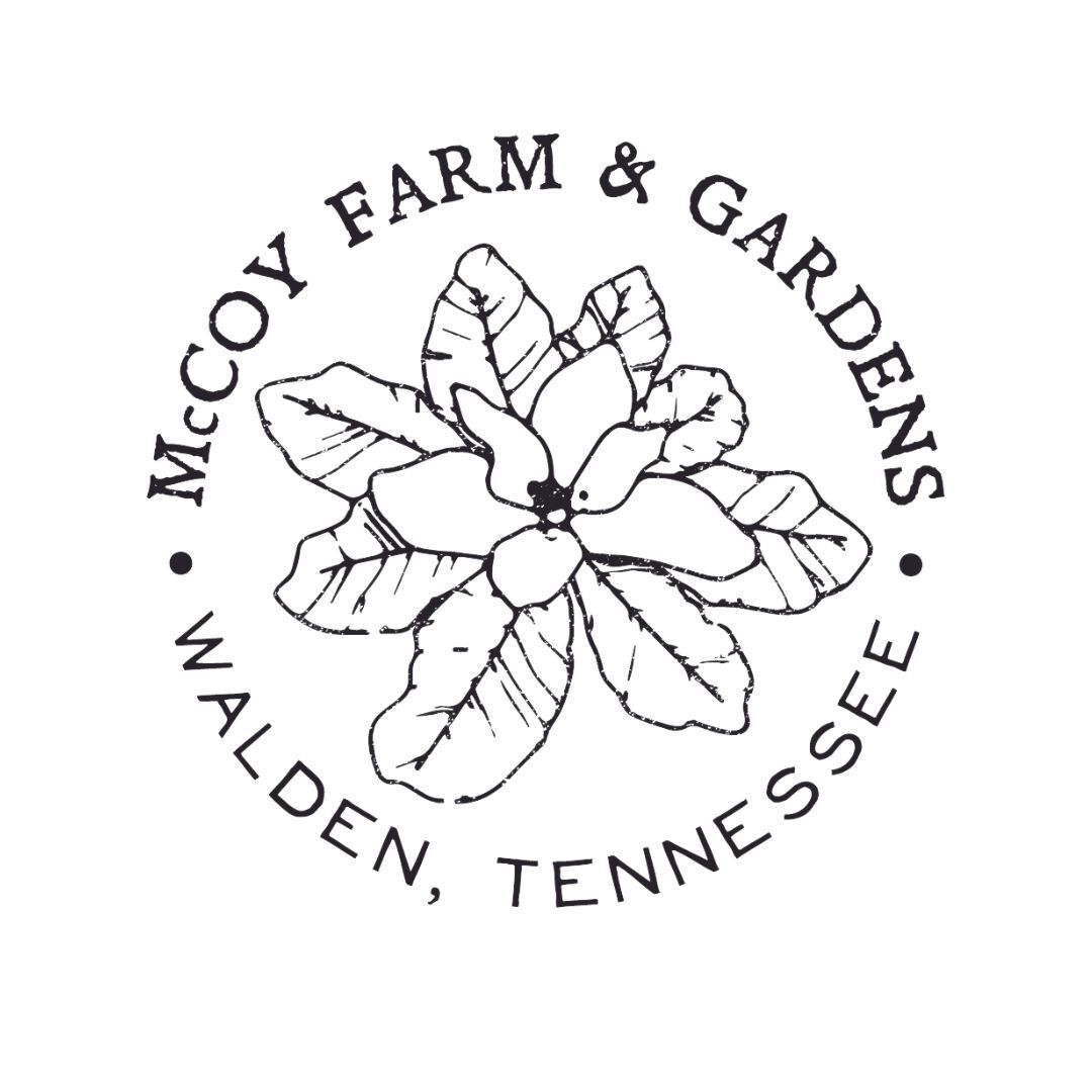 Propagating from Seed with Success Workshop - logo